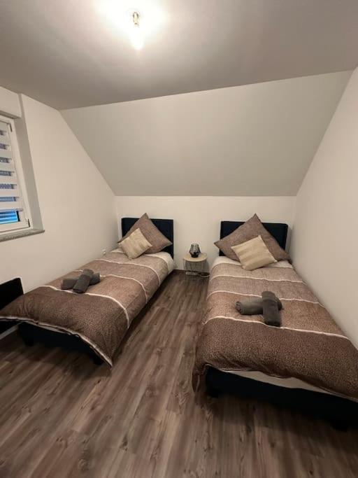 Appartement Algo Algolsheim Екстериор снимка